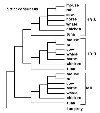 Arlin's consensus tree