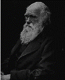 Darwin